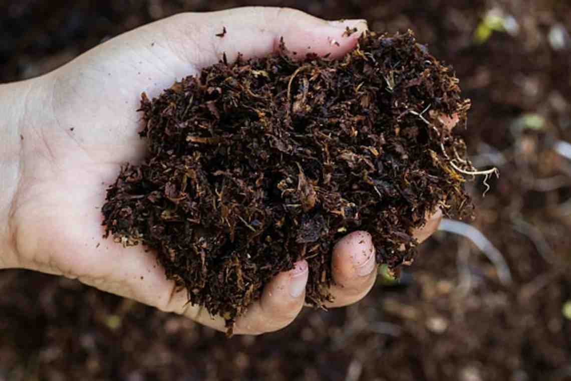 Органическое вещество почвы: описание и влияние на плодородие